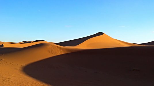 Wahnsinn Wüste