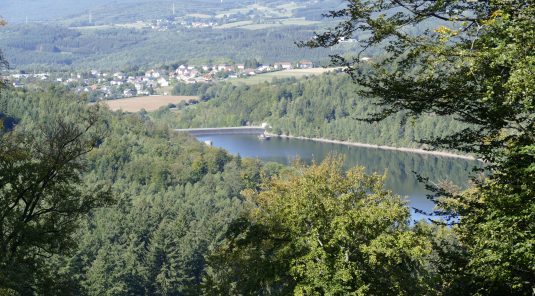 Der bescheidene Saarländer